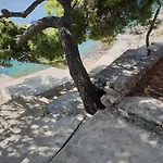Sole * سومارتين
