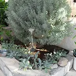 Sole شقة *