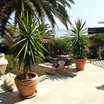Sole *