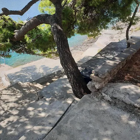 Sole * サマティン